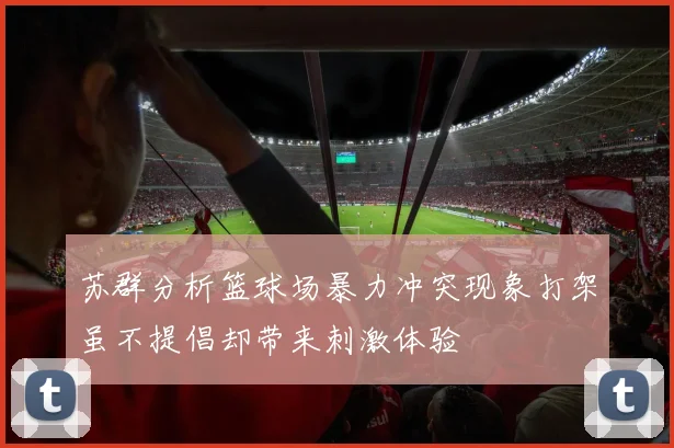 苏群分析篮球场暴力冲突现象打架虽不提倡却带来刺激体验