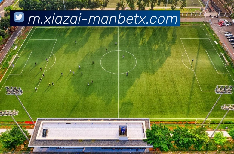 App Interface Preview