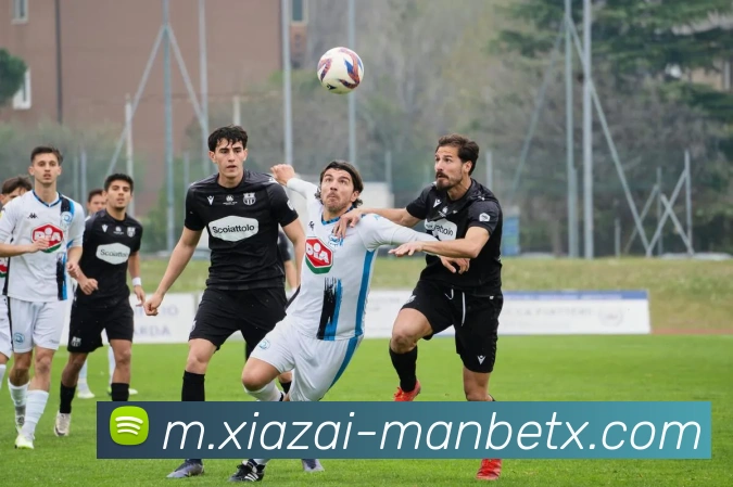 万博体育APP 封面图